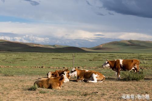 内蒙古划给东三省了吗,为什么内蒙古东部也属于东北地区