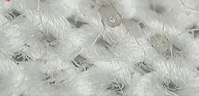 用什么洗毛巾最干净又没有螨虫,怎么去除毛巾的螨虫和细菌