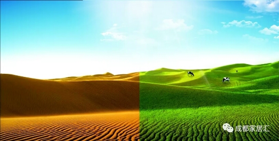 对话｜乳品中的“贵族”，圣牧有机奶到底“贵”在哪里？