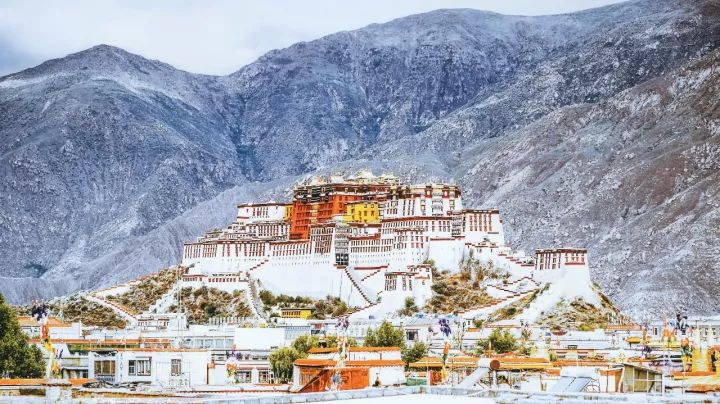 2018下半年如果你来，我会为你献上哈达，说上一句：扎西德勒