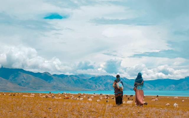 2018下半年如果你来，我会为你献上哈达，说上一句：扎西德勒