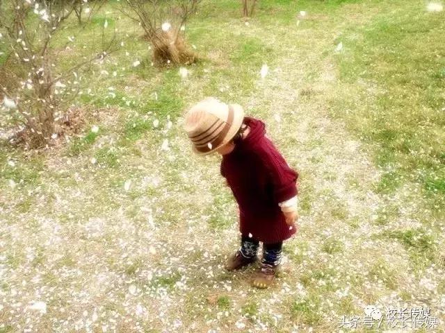 学习小古文的乐趣,小古文学习的方法和技巧