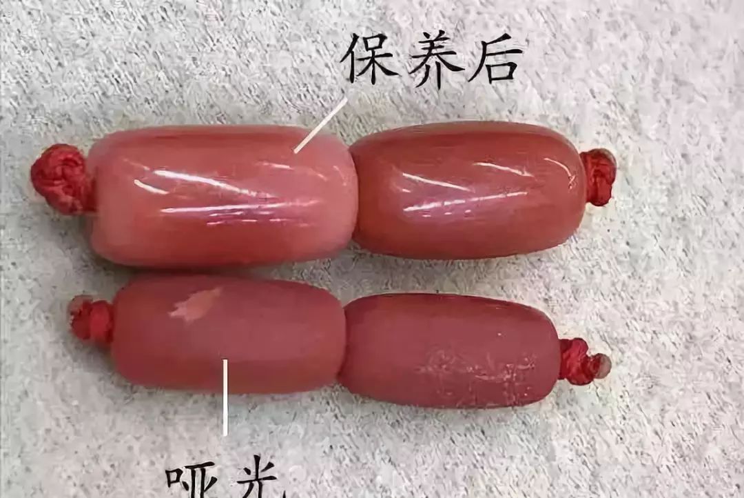 天然粉珊瑚有什么好处,深海珊瑚可以干什么