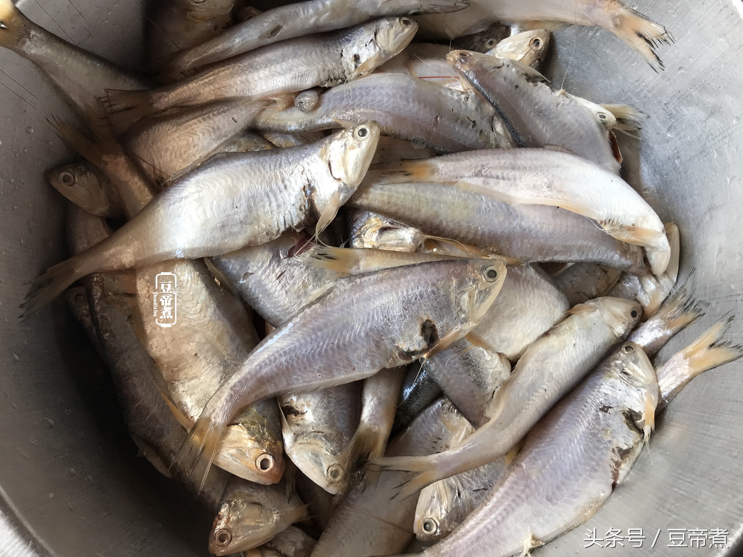 长江刀鱼的做法有哪些,长江刀鱼咋样做