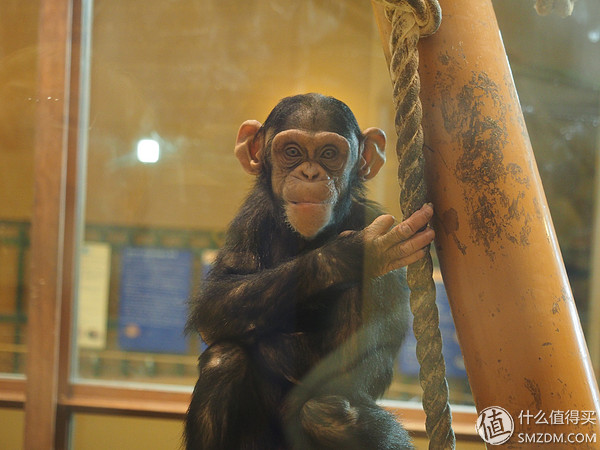 北海道札幌的散步之旅,日本北海道小樽旅游攻略