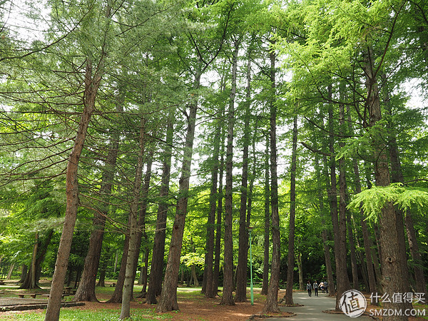 北海道札幌的散步之旅,日本北海道小樽旅游攻略