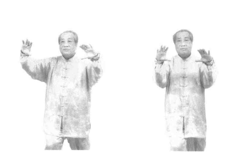 陈田良老师详解杨式太极拳,一代宗师董虎岭杨氏太极拳教学