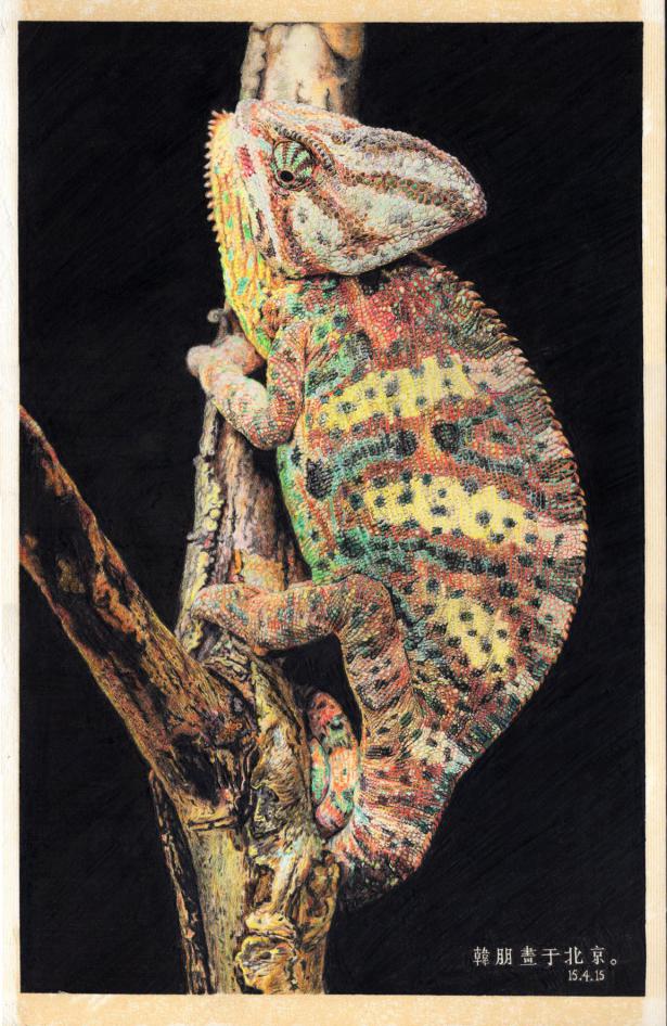 干货彩铅画新手入门必知,初学者彩铅画材推荐