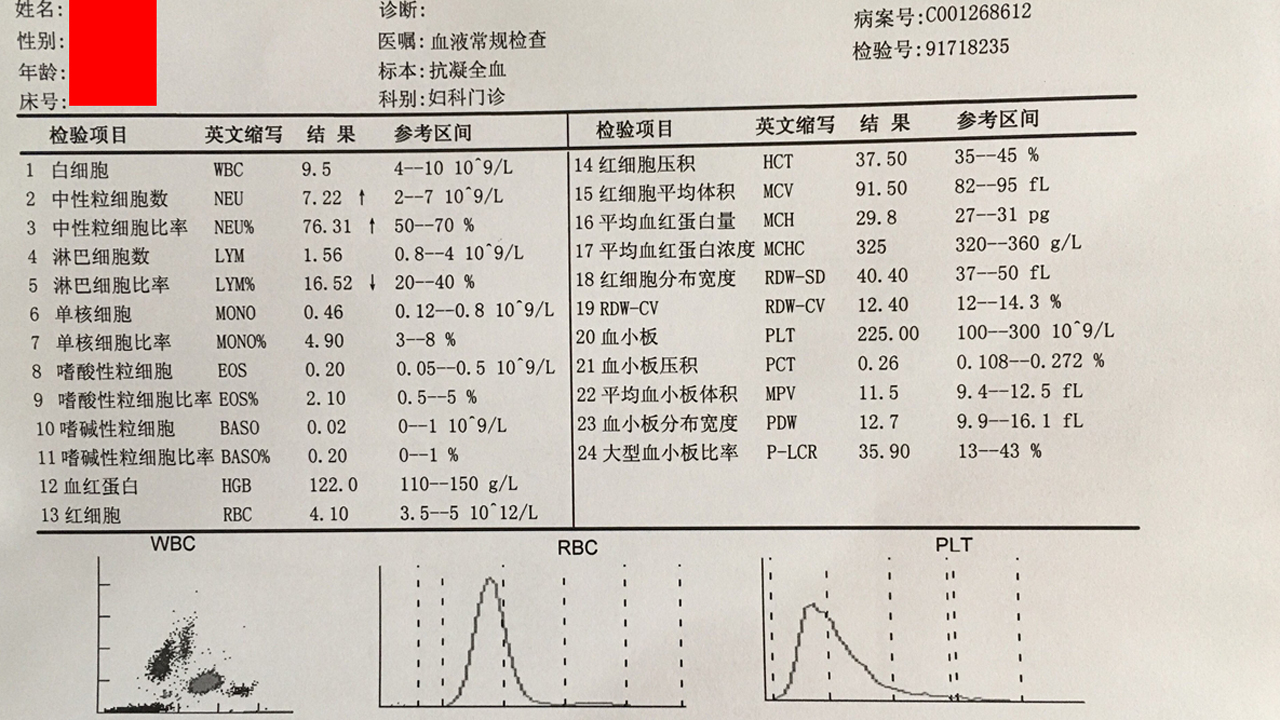 体检报告会有医院信息吗,白细胞增多是什么病的前兆