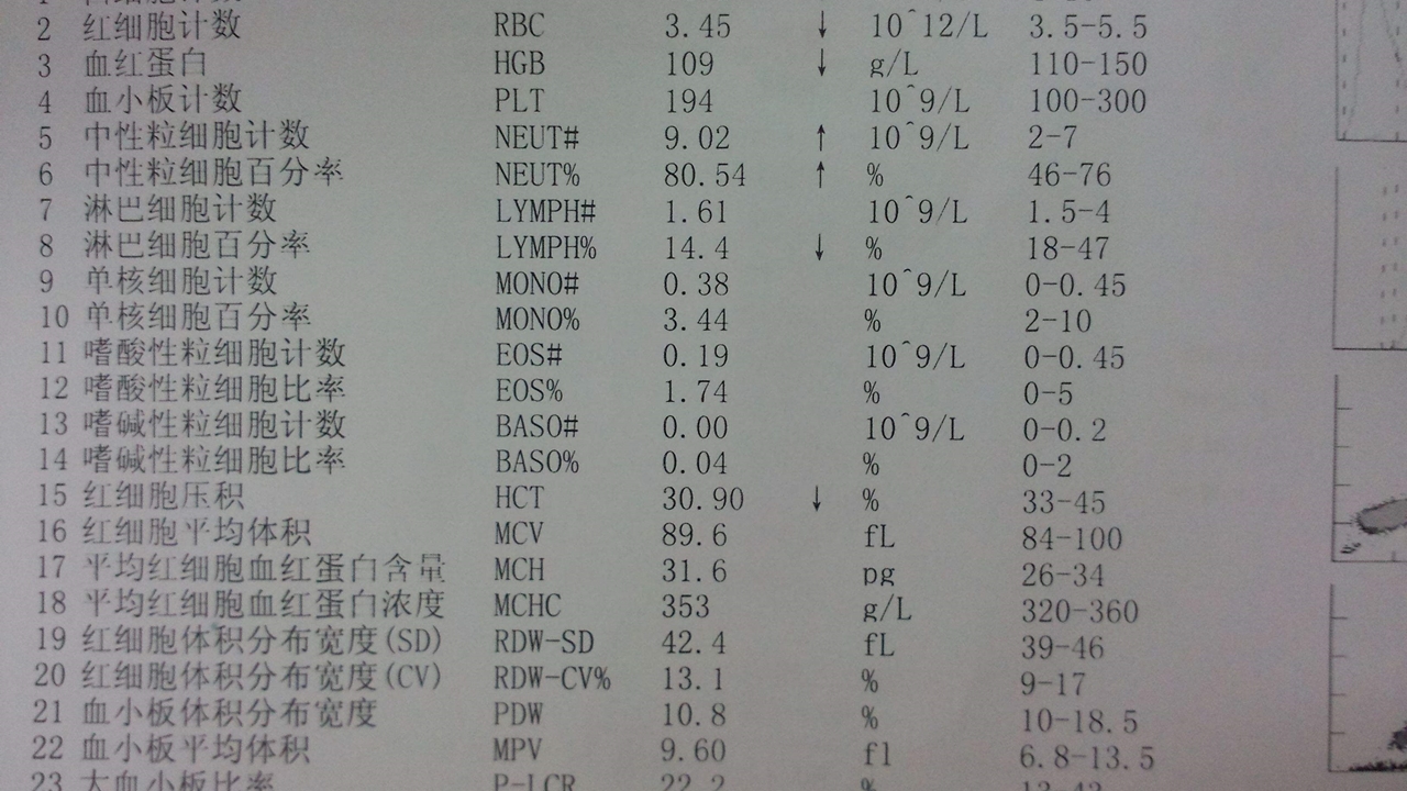 体检报告会有医院信息吗,白细胞增多是什么病的前兆