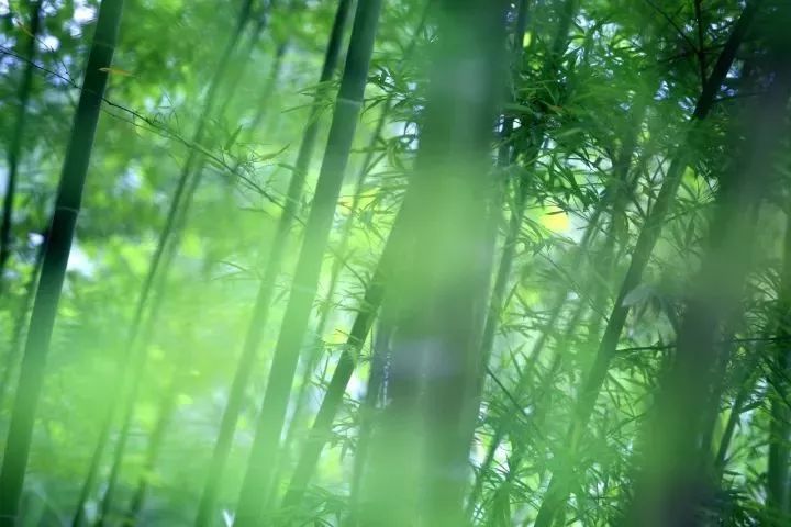 习*平近**总书记带火的那些诗词