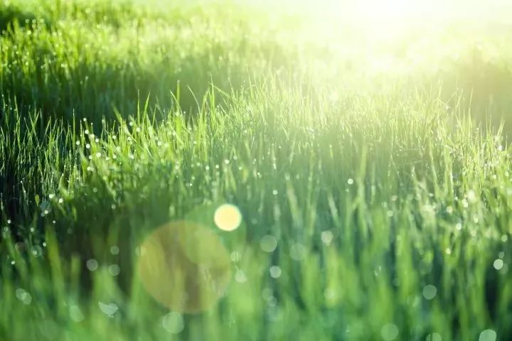 习*平近**总书记带火的那些诗词