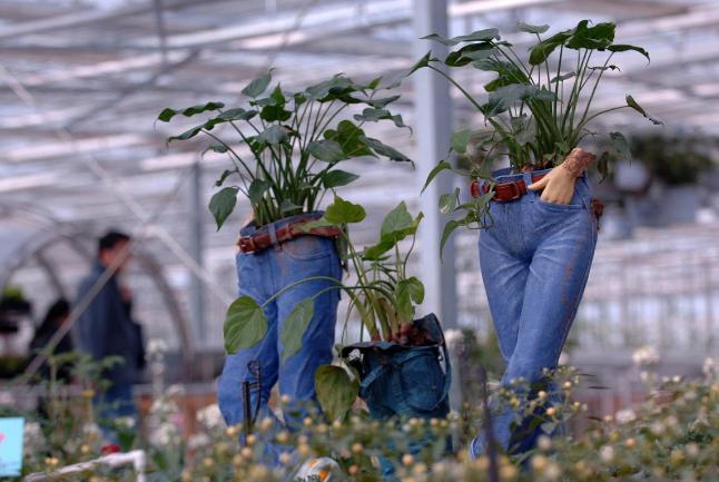 2018小本创业的好项目,2018年自己投资少的创业项目