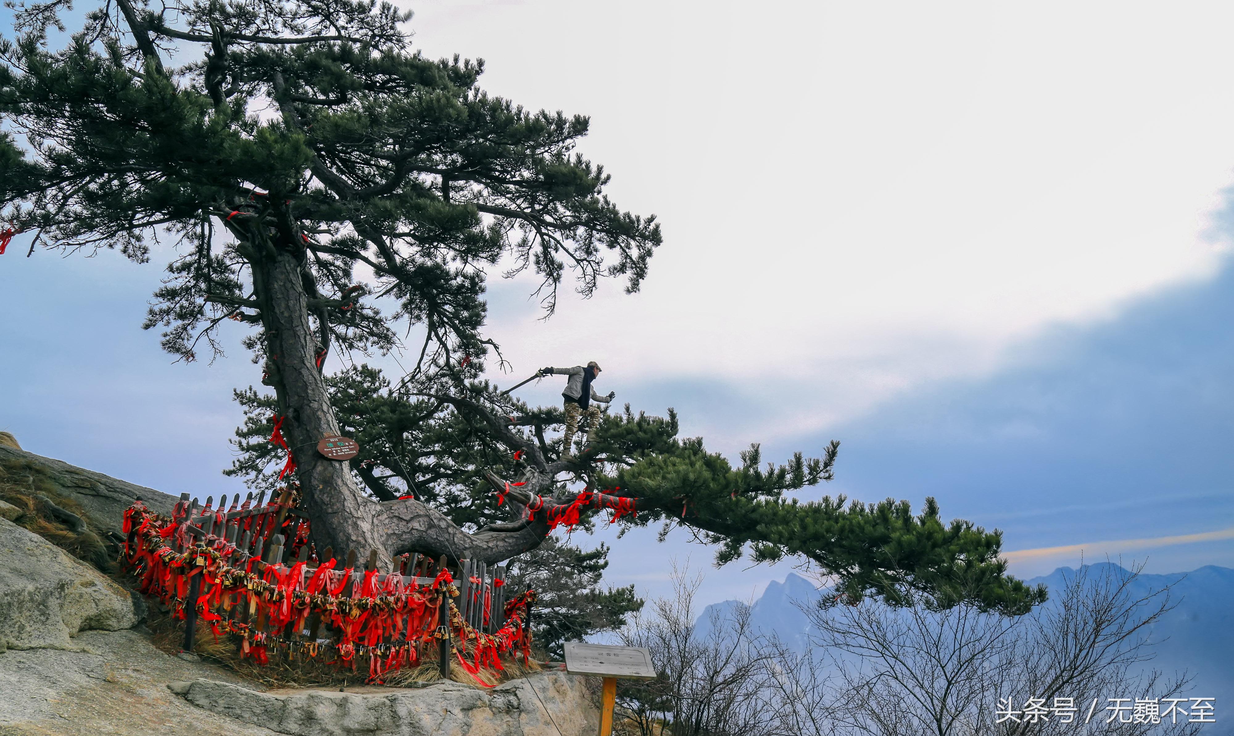 选择索道登华山还需要徒步多久,登华山徒步攻略爬华山的最佳路线