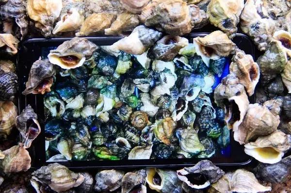 不用签证就能去的国家,不用签证的岛