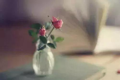 愿陪君醉笑三千场不诉离殇意思,醉笑陪君三千场不诉离殇写给谁的