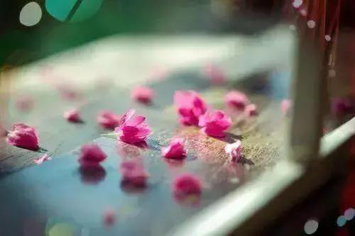 愿陪君醉笑三千场不诉离殇意思,醉笑陪君三千场不诉离殇写给谁的