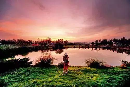 愿陪君醉笑三千场不诉离殇意思,醉笑陪君三千场不诉离殇写给谁的