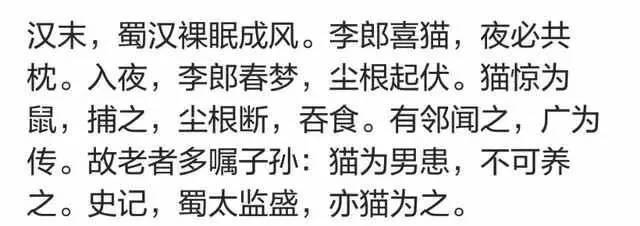 男不养猫?你这么会讲话,一定没有姑娘要你这条单身狗吧