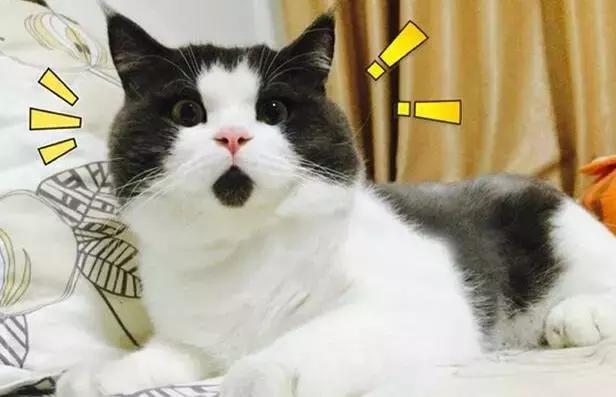 灞卞寰俊杞彂璇煶琚獥,灞卞寰俊璇煶琚洍