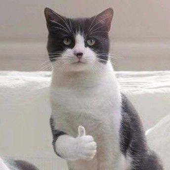 12星座扎什么头发最好看,12星座怎么编头发最好看