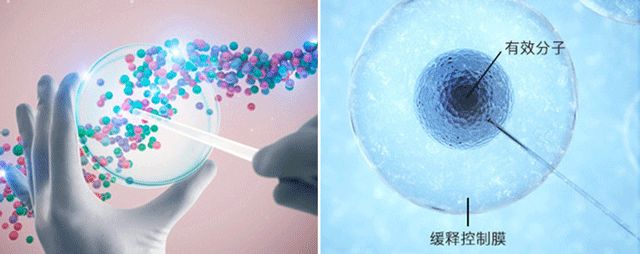 以色列狐臭药,以色列祛除狐臭产品