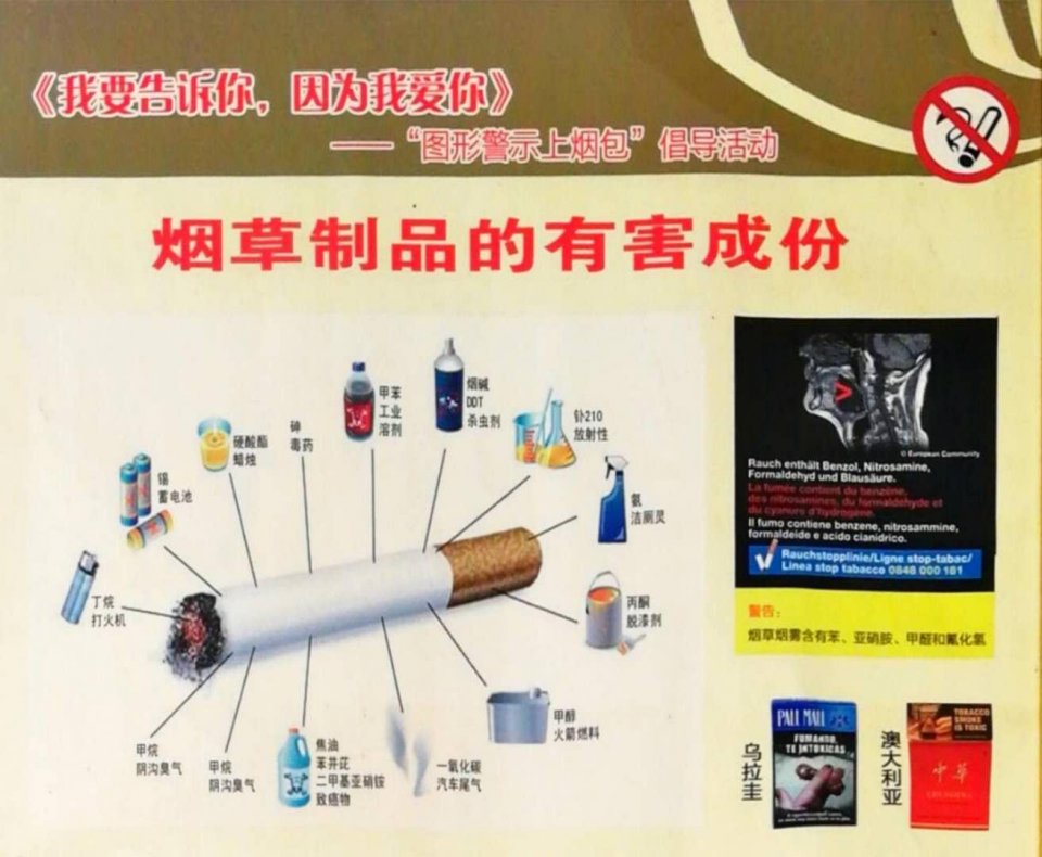 长寿的原因跟抽烟喝酒运动无关,为什么有人又抽烟又喝酒却能长寿