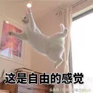 网警提示生活中这7件事,网警提醒注意事项