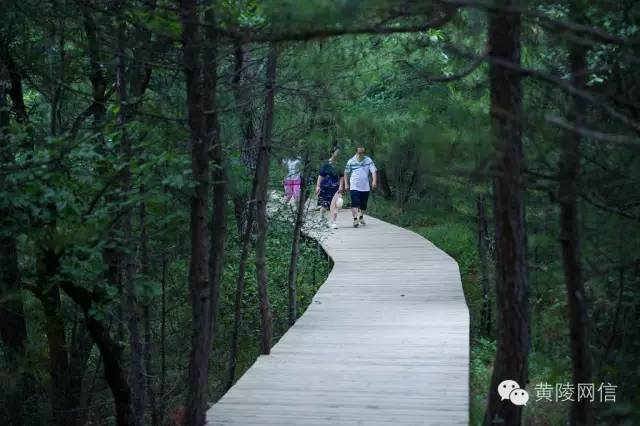 溽暑蒸人什么意思,溽暑蒸人