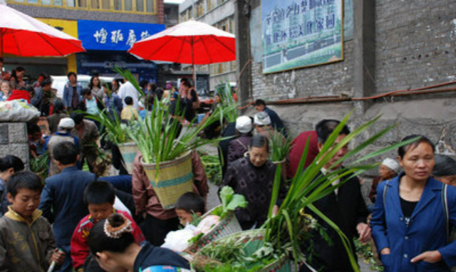 老中医医院用的艾草,身上痒用艾叶菖蒲效果好吗