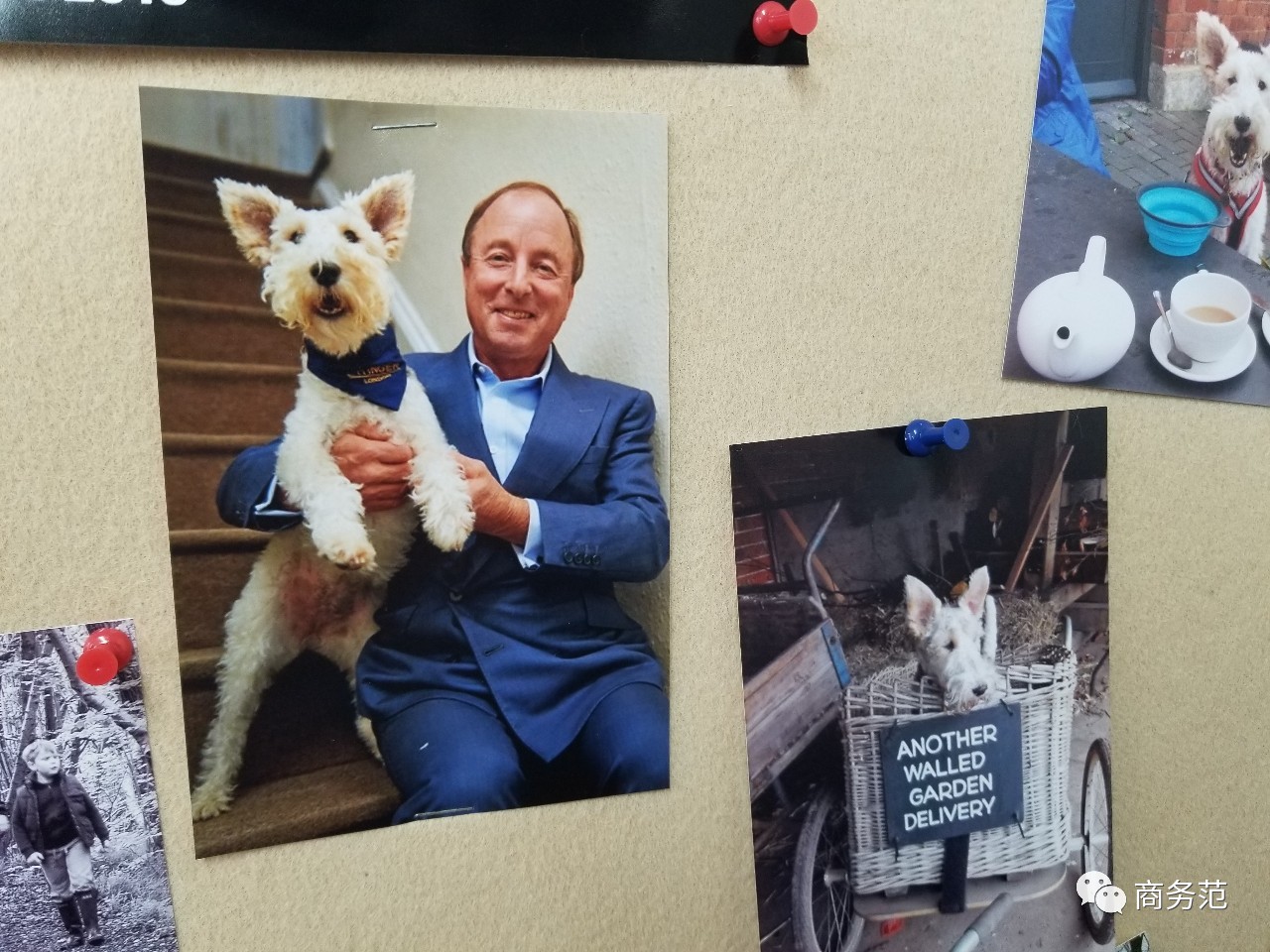 英国必买品牌推荐,去英国必买的十大品牌