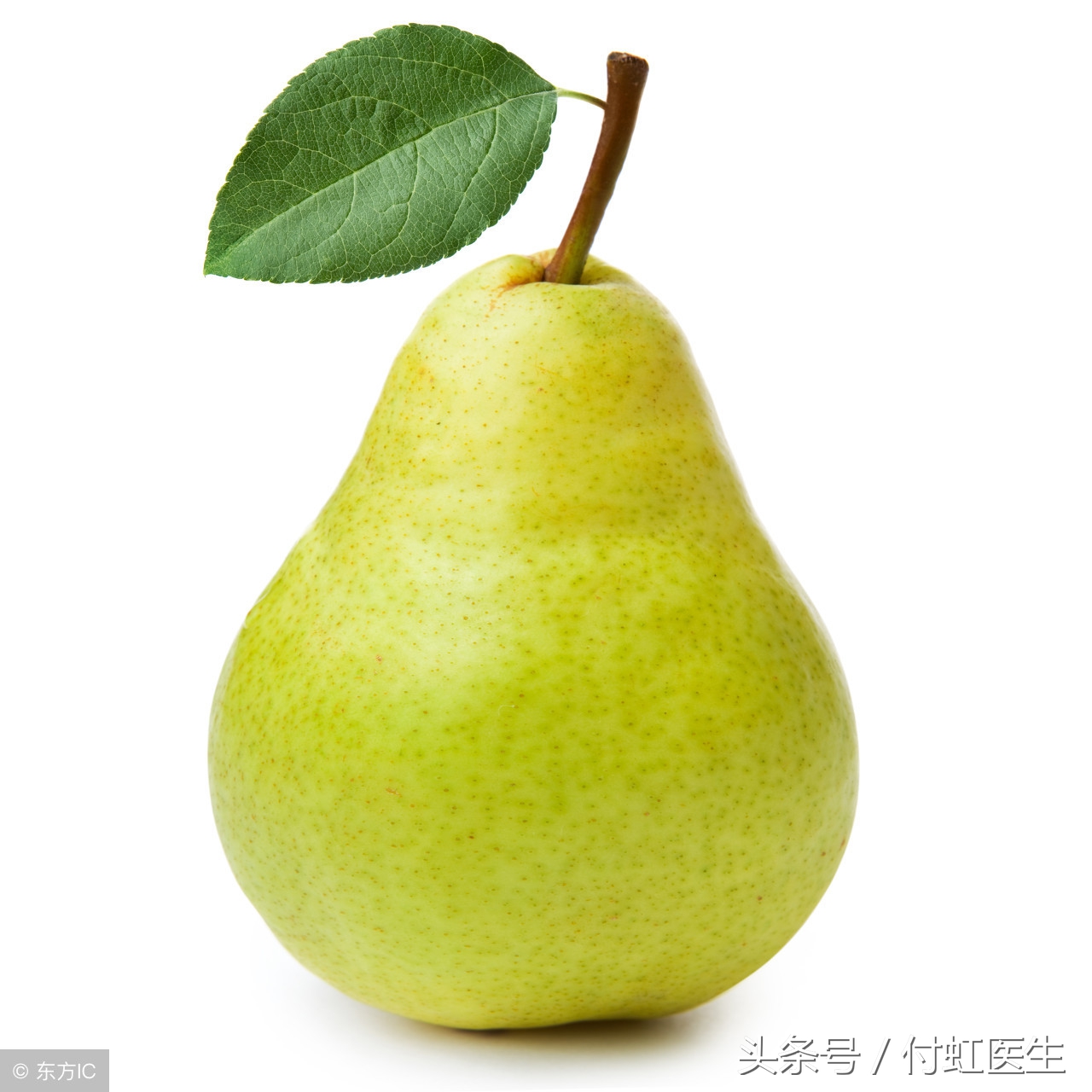 想瘦下半身吃什么好,想瘦下来用什么方法