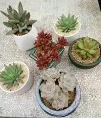 鍒氬ソ閬囪浣犵編濂虫埛澶栫増,鍒氬ソ閬囪澶氳倝