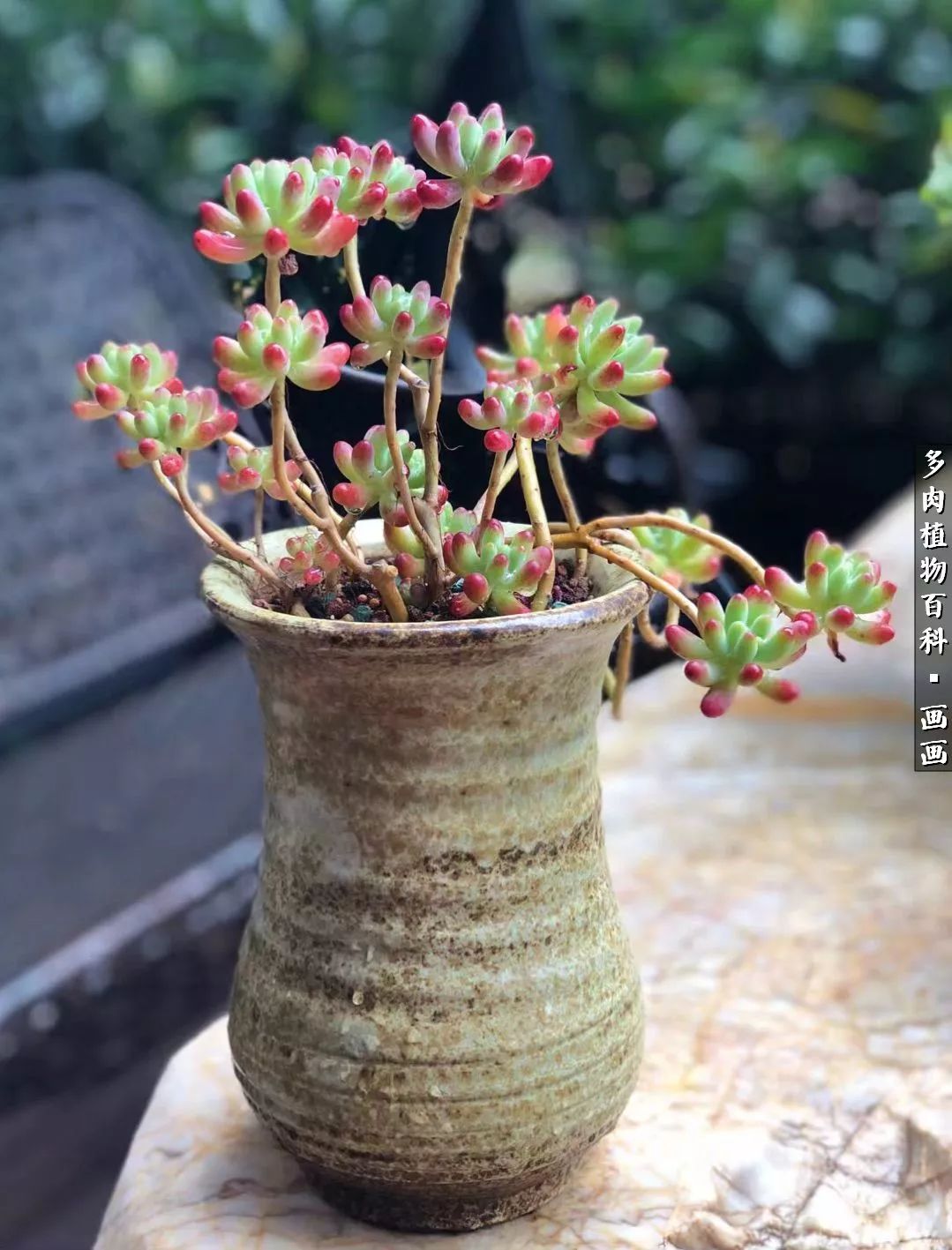 鍒氬ソ閬囪浣犵編濂虫埛澶栫増,鍒氬ソ閬囪澶氳倝