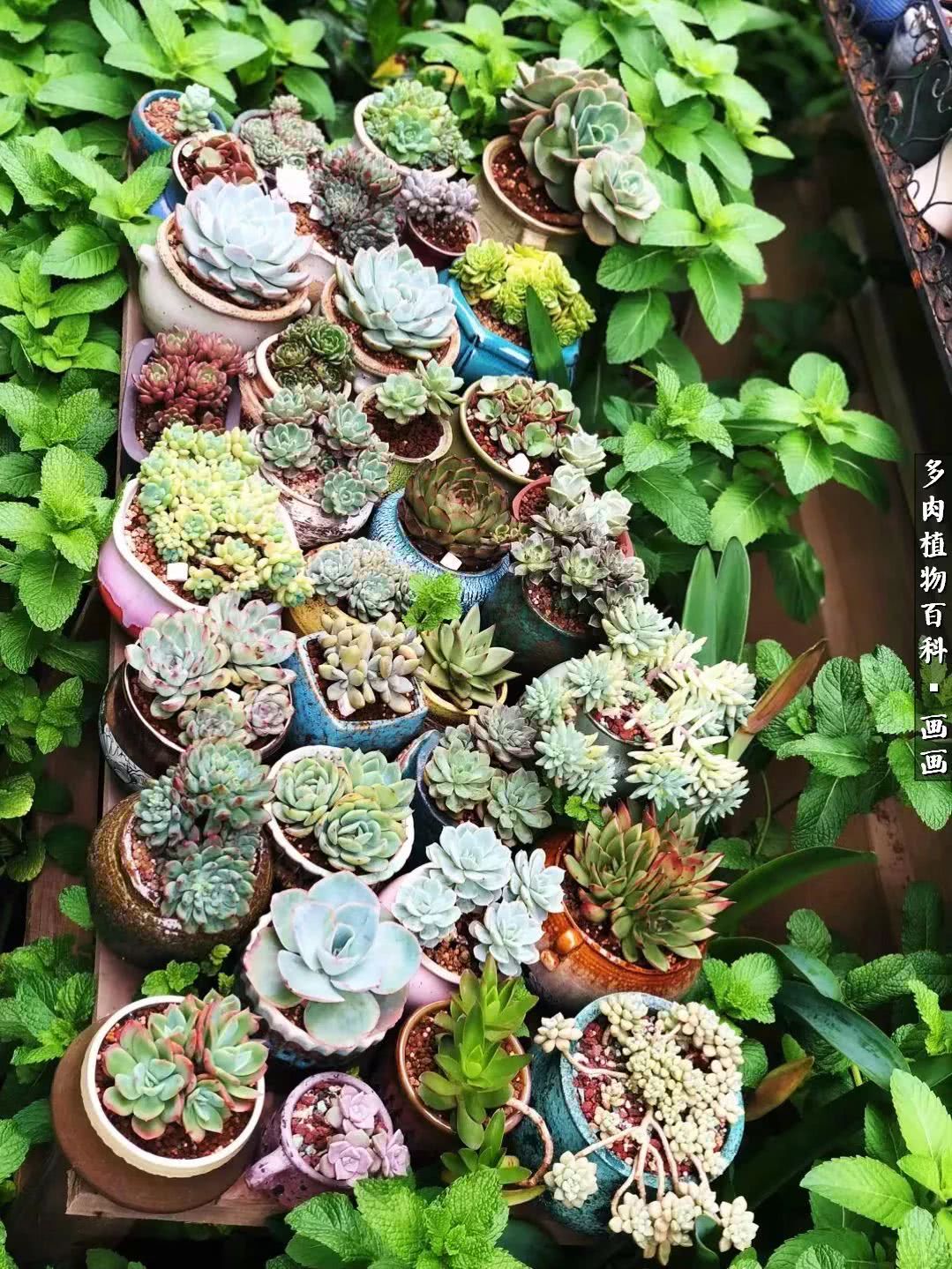 鍒氬ソ閬囪浣犵編濂虫埛澶栫増,鍒氬ソ閬囪澶氳倝