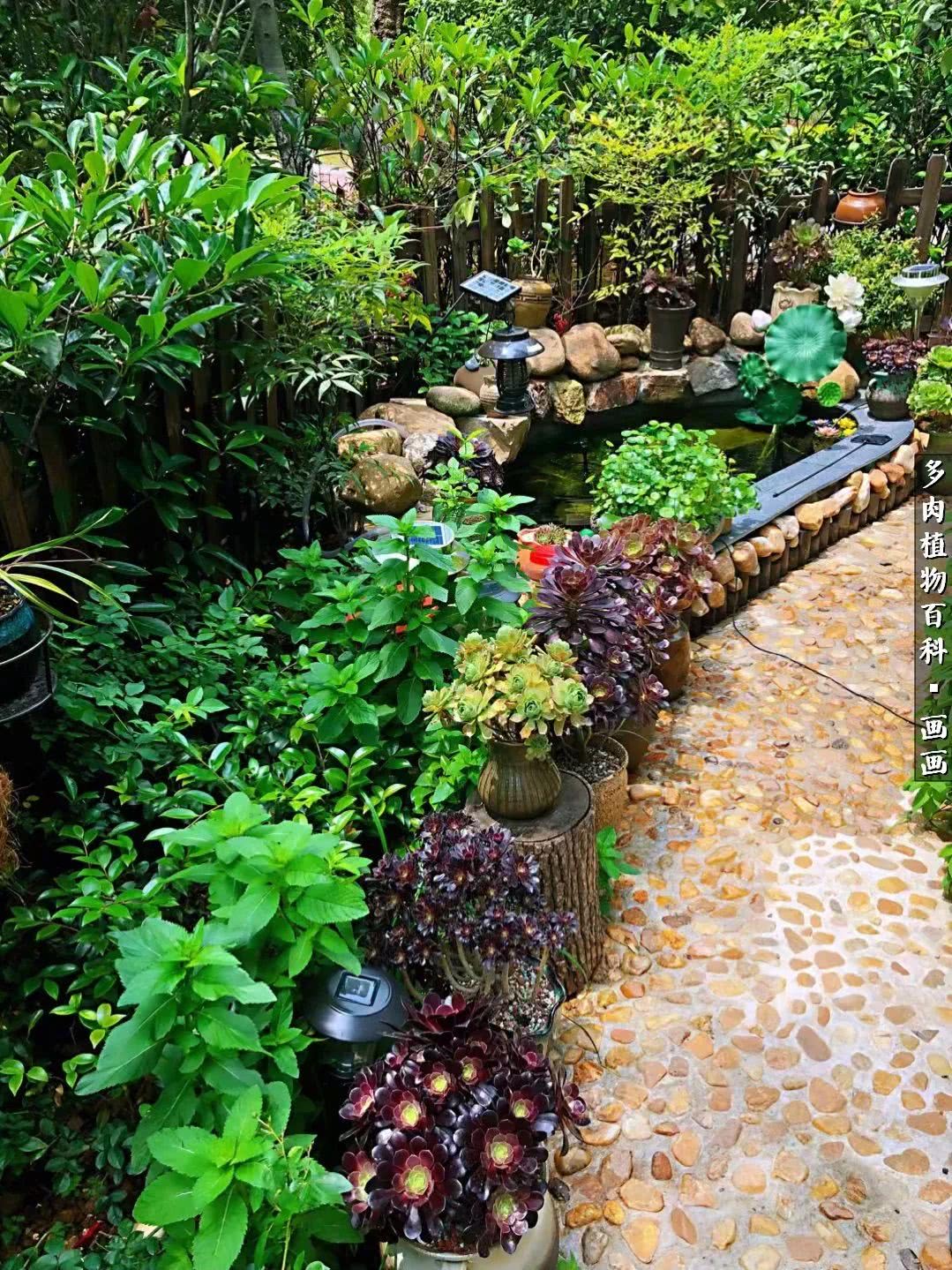 鍒氬ソ閬囪浣犵編濂虫埛澶栫増,鍒氬ソ閬囪澶氳倝