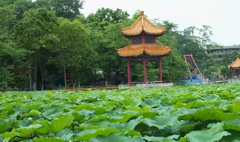 广西夏天避暑的地方,广西附近夏天清凉游玩攻略