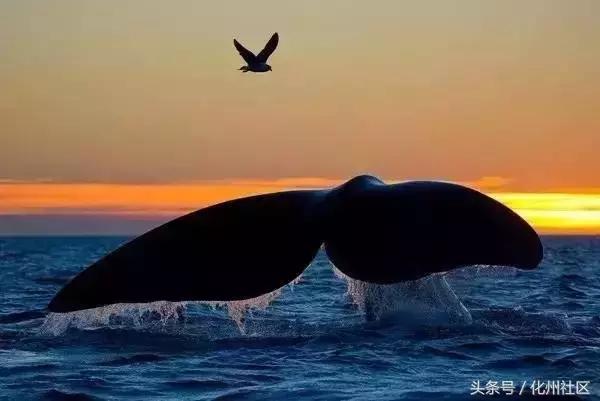 不用1000块钱就可以去玩的岛,不需要签证的4个小时的海岛