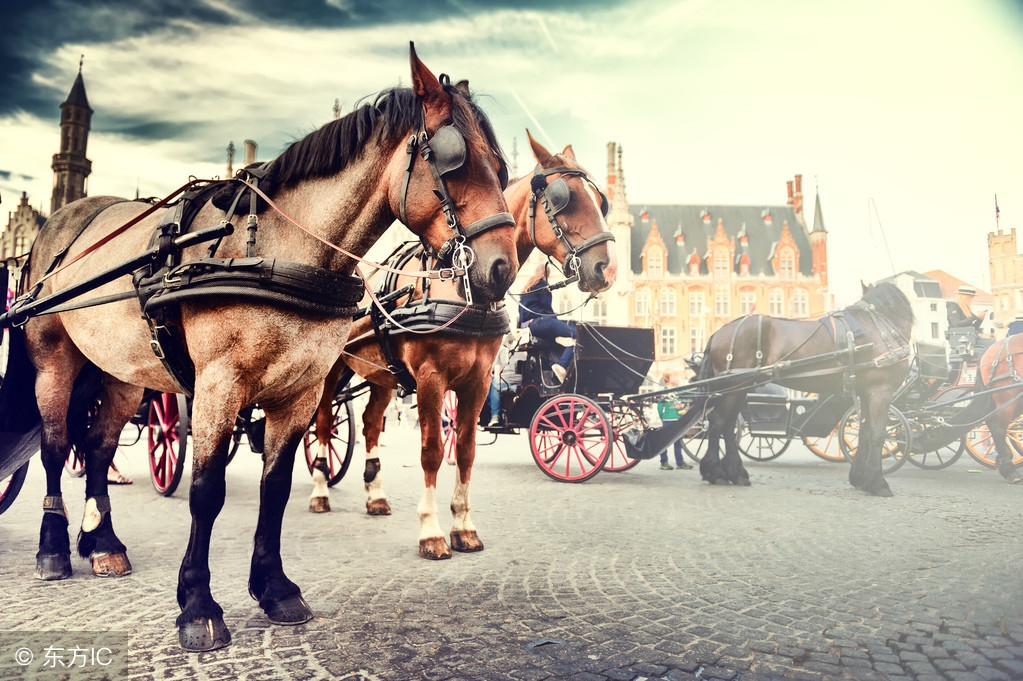 天子銮驾,皇帝銮驾规制