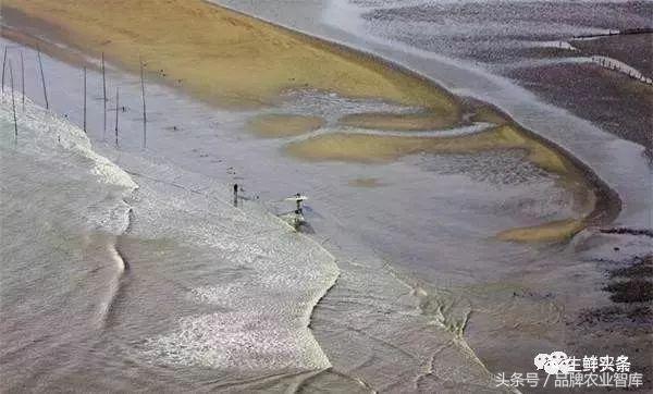 袁隆平捐200吨大米相当于多少钱,袁隆平的大米的推广