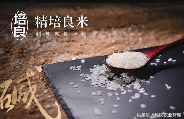 袁隆平捐200吨大米相当于多少钱,袁隆平的大米的推广