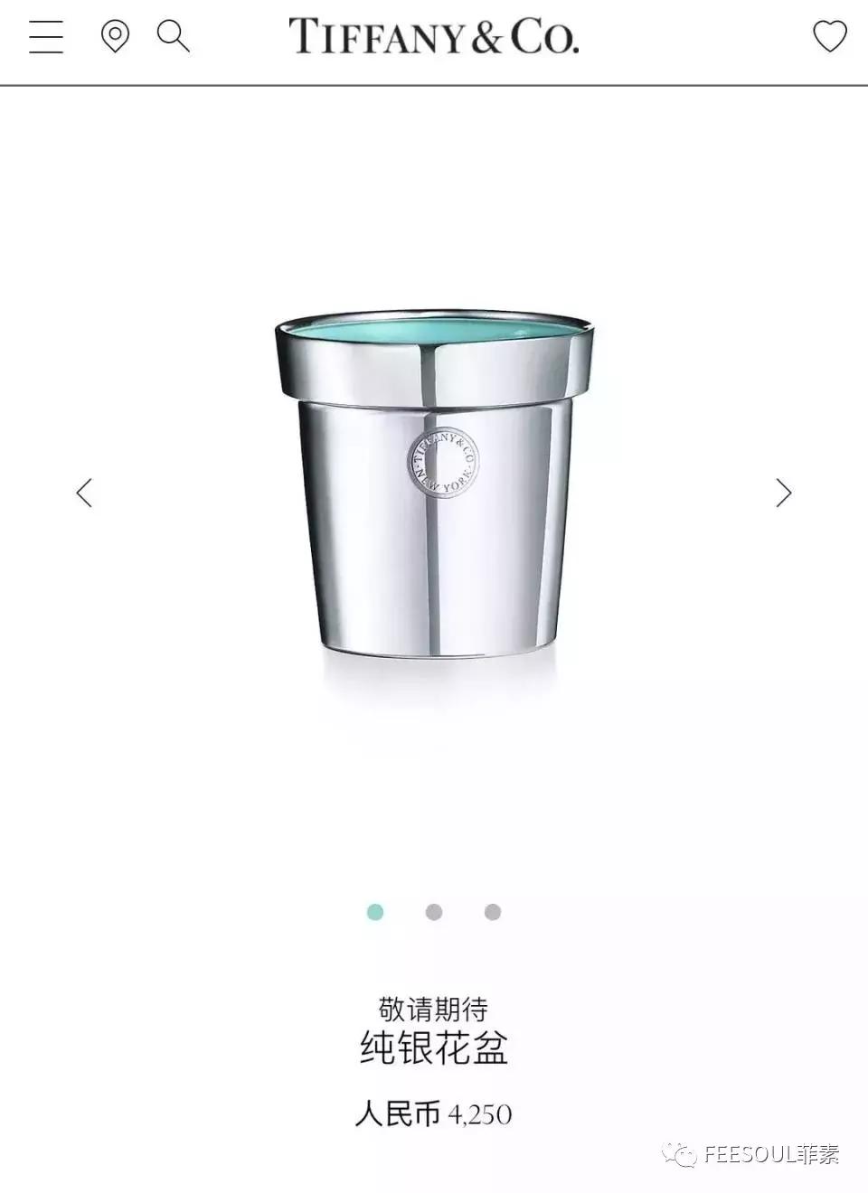 tiffany月季,tiffany宠物盆