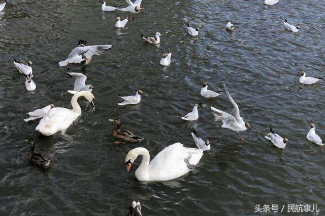 我的英伦之夏游记——有坑有愁有欣喜