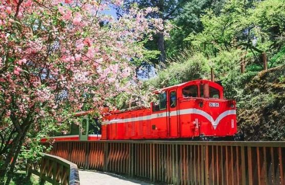 做完这20件事你就不浮躁了,做完这20件事突然间就不焦虑了