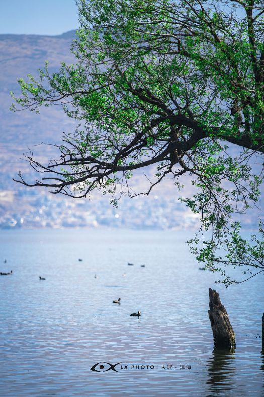 做完这20件事你就不浮躁了,做完这20件事突然间就不焦虑了