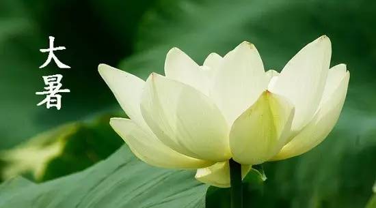 大暑节气养生好方法有哪些,大暑有一种进补的方法是吃什么