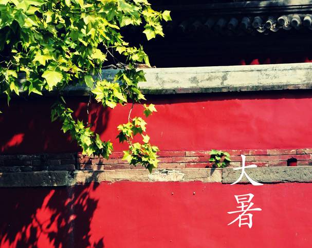 大暑节气养生好方法有哪些,大暑有一种进补的方法是吃什么