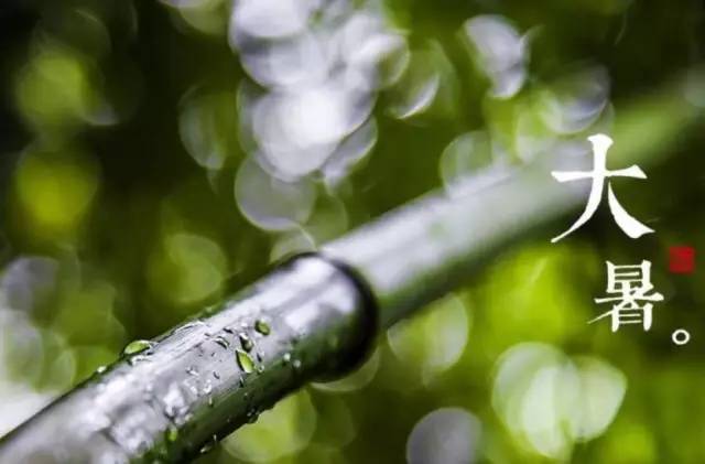 大暑节气养生好方法有哪些,大暑有一种进补的方法是吃什么