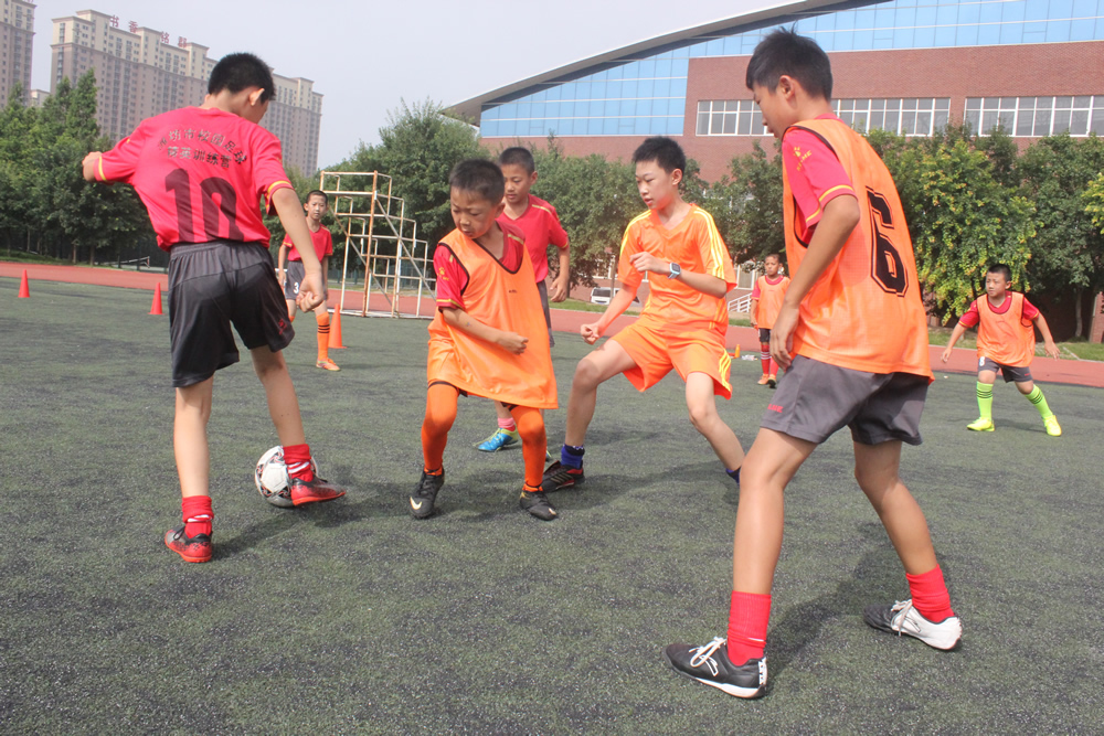 潍坊训练营小学生,山东潍坊青少年封闭式训练营