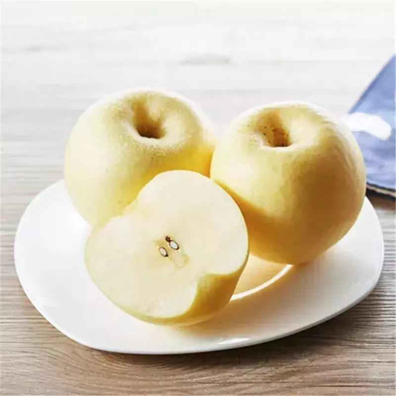 只赚不赔的小本生意大全,利润很吓人的10种生意商机